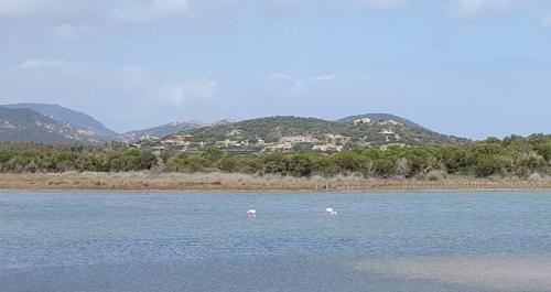 Sardegna 3-2019 (41)