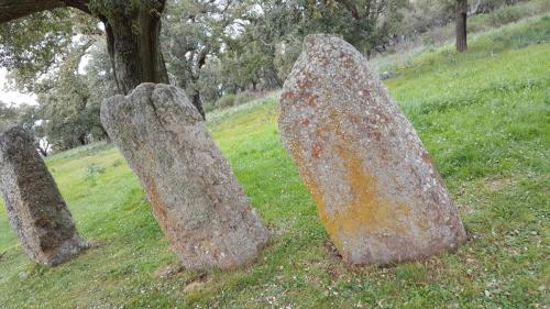 Sardegna 3-2019 (52)