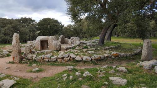 Sardegna 3-2019 (54)
