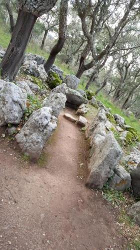 Sardegna 3-2019 (57)