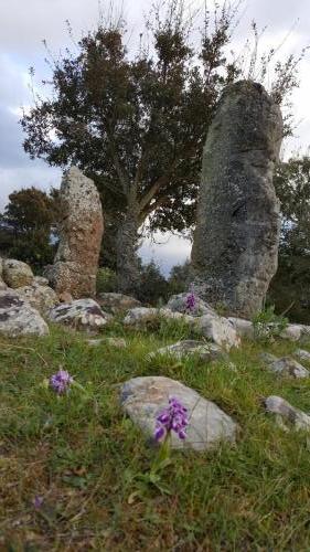 Sardegna 3-2019 (61)