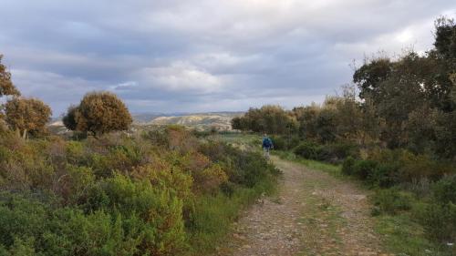 Sardegna 3-2019 (62)