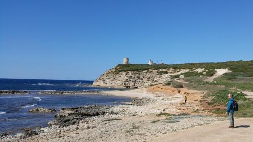 Sardegna 3-2019 (79) (1)