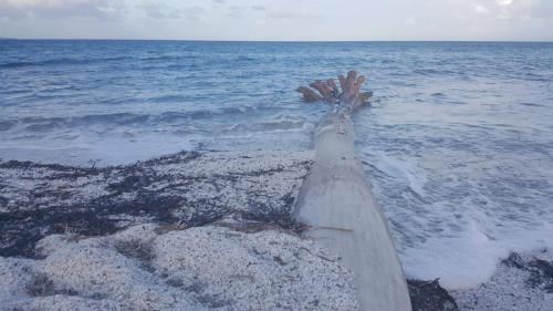Sardegna-november-2022-50