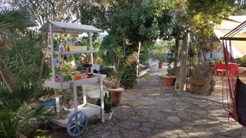 Sardegna-november-2022-75