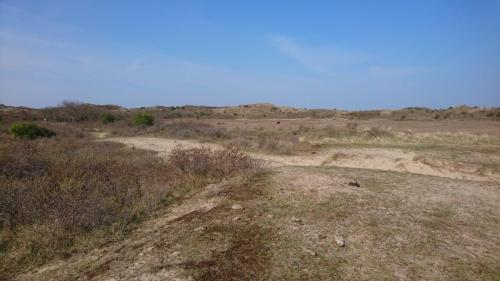 Tulpentour 15-19 april 2019 (9)