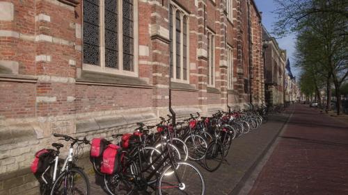 Tulpentour 20-23 april 2019 (13)