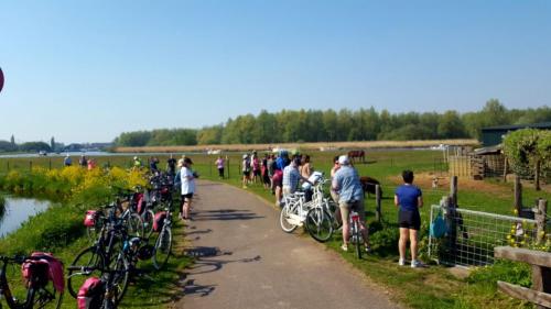 Tulpentour 20-23 april 2019 (39)