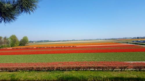 Tulpentour 20-23 april 2019 (44)
