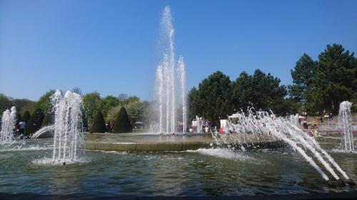 Tulpentour 20-23 april 2019 (7)