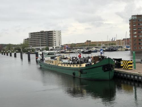 Tulpentour 29-4 tm 3-5-2019 (22)