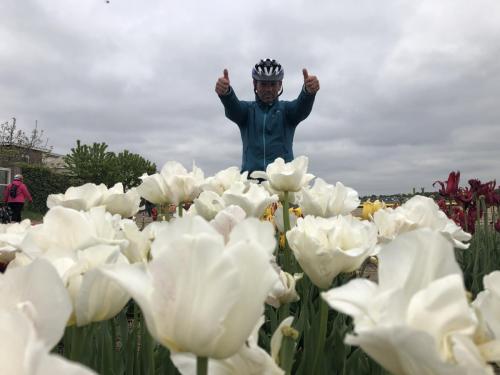 Tulpentour 29-4 tm 3-5-2019 (29)
