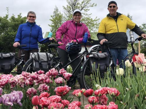 Tulpentour 29-4 tm 3-5-2019 (33)