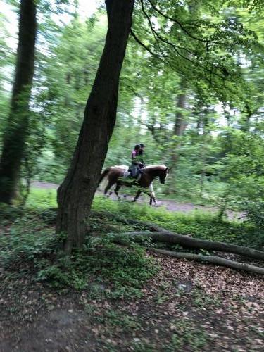 Tulpentour 29-4 tm 3-5-2019 (44)