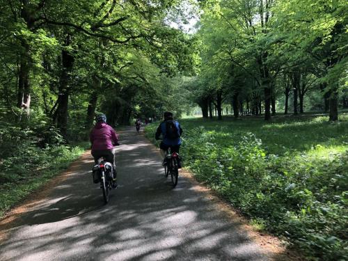 Tulpentour 29-4 tm 3-5-2019 (46)
