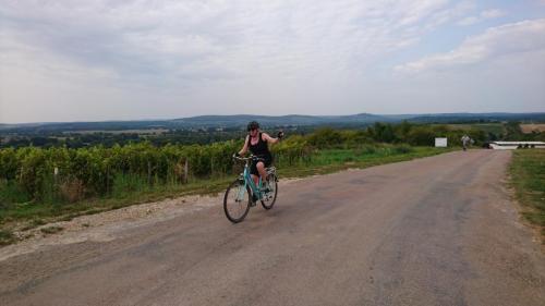 Loire 26 aug-2 sept 2017 (128)