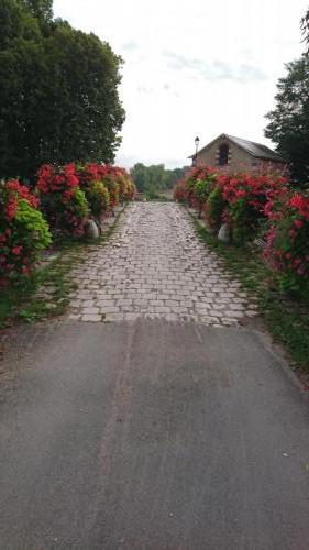 Loire 26 aug-2 sept 2017 (30)