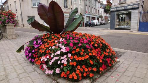 Loire 26 aug-2 sept 2017 (34)