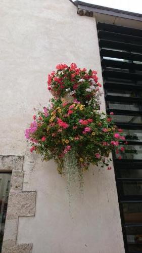 Loire 26 aug-2 sept 2017 (35)