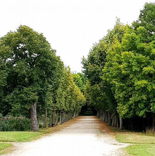 Loire 26 aug-2 sept 2017 (68)