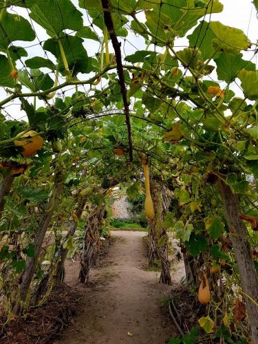 Loire 26 aug-2 sept 2017 (70)