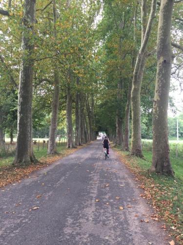 Loire 26 aug-2 sept 2017 (98)