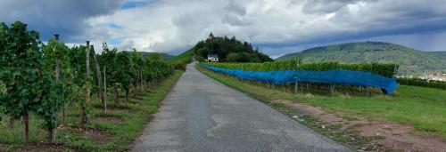 Mosel-11-18-sept-22-45