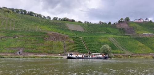 Mosel-11-18-sept-22-47