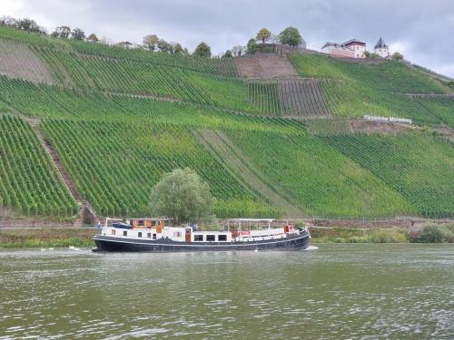 Mosel-11-18-sept-22-48