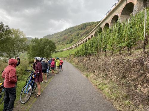 Mosel-11-18-sept-22-82