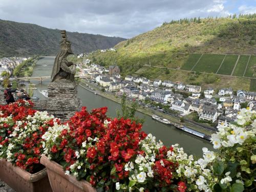 Mosel-11-18-sept-22-86