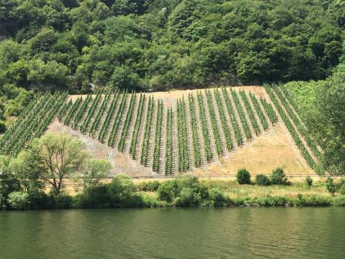 Mosel 15-22 august 2020