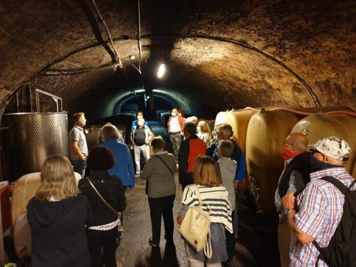 Mosel 22-29 august 2020