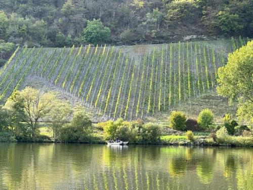 Mosel-9-16-okt22-44
