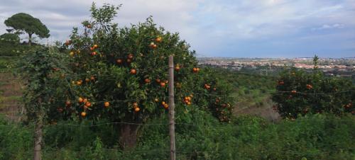 Sicilia dec 2016 (132)