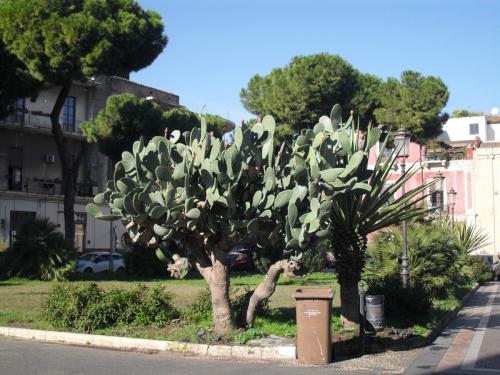 Sicilia dec 2016 (56)