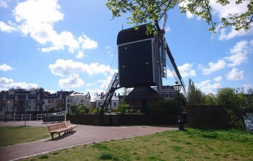 Tulpentour april 2017