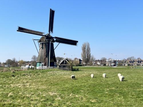 tulpentour-2-9-april-2023-112