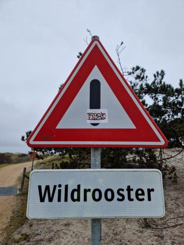 tulpentour-2-9-april-2023-37