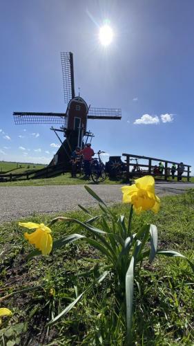 tulpentour-9-16-april-2023-34